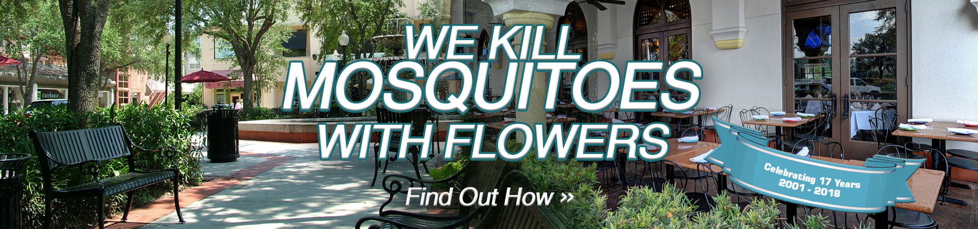 Commercial Mosquito Control